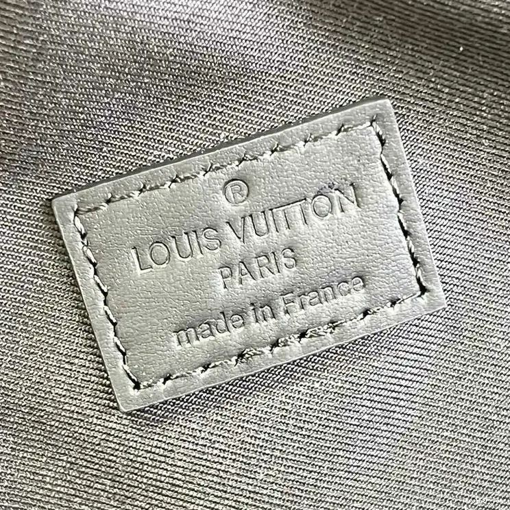 Brother Sam Yupoo LV Bag 2204YA0009 0804